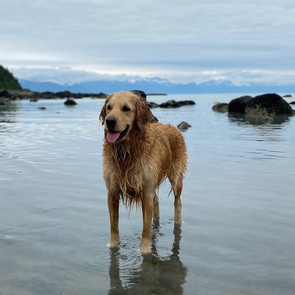 Meet your Posher, Brian